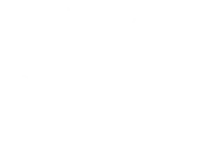 Be The Light Scholarship Foundation